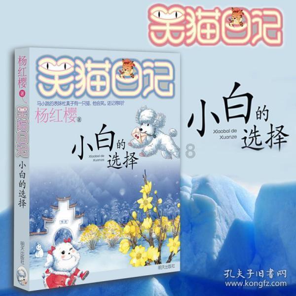 某新能源技术有限公司-充电桩双层倍速链线